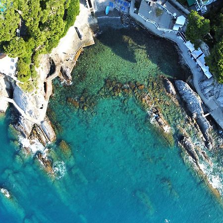 Apartament La Terrazza Sul Mare Zoagli Zewnętrze zdjęcie