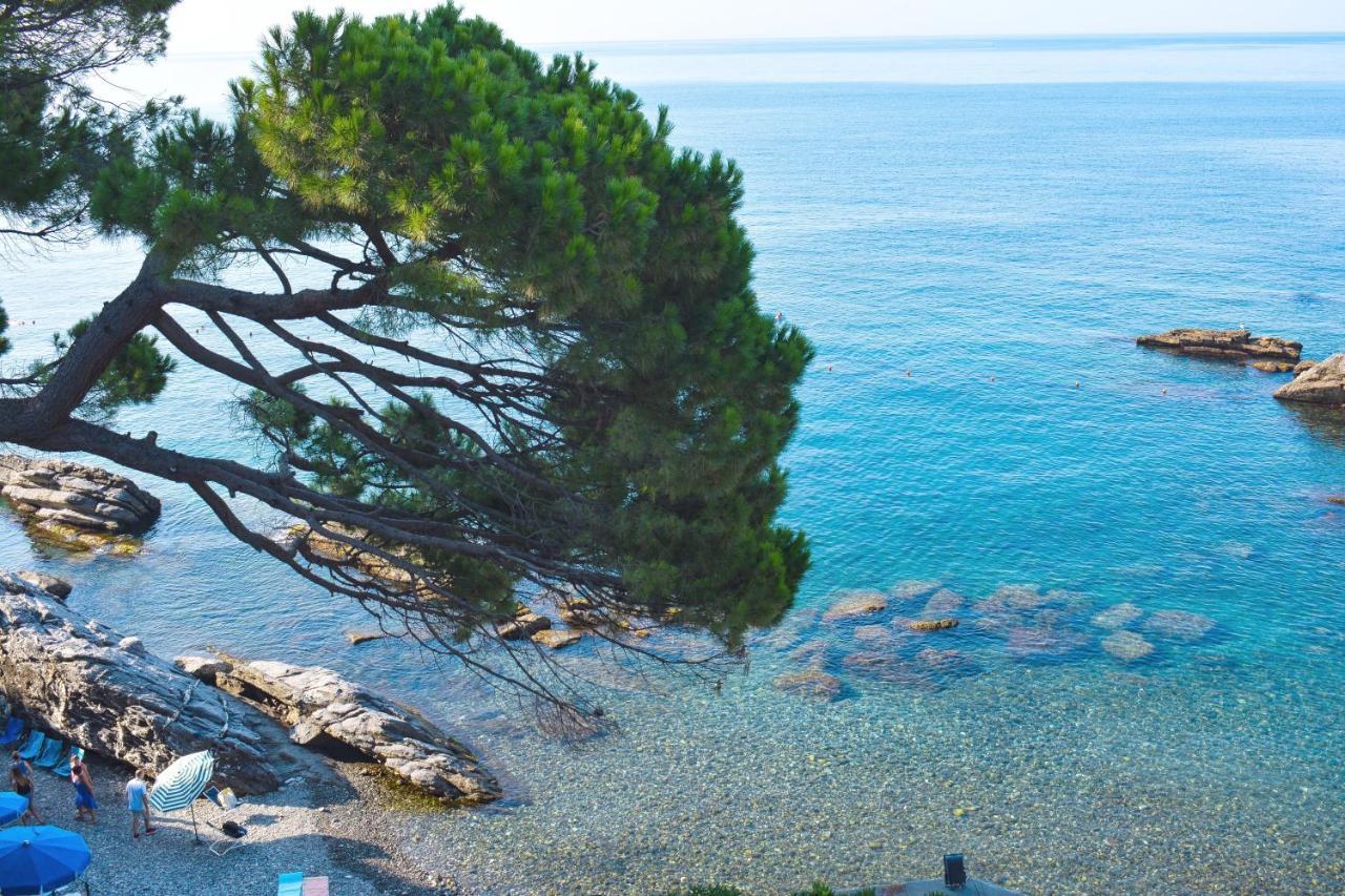 Apartament La Terrazza Sul Mare Zoagli Zewnętrze zdjęcie