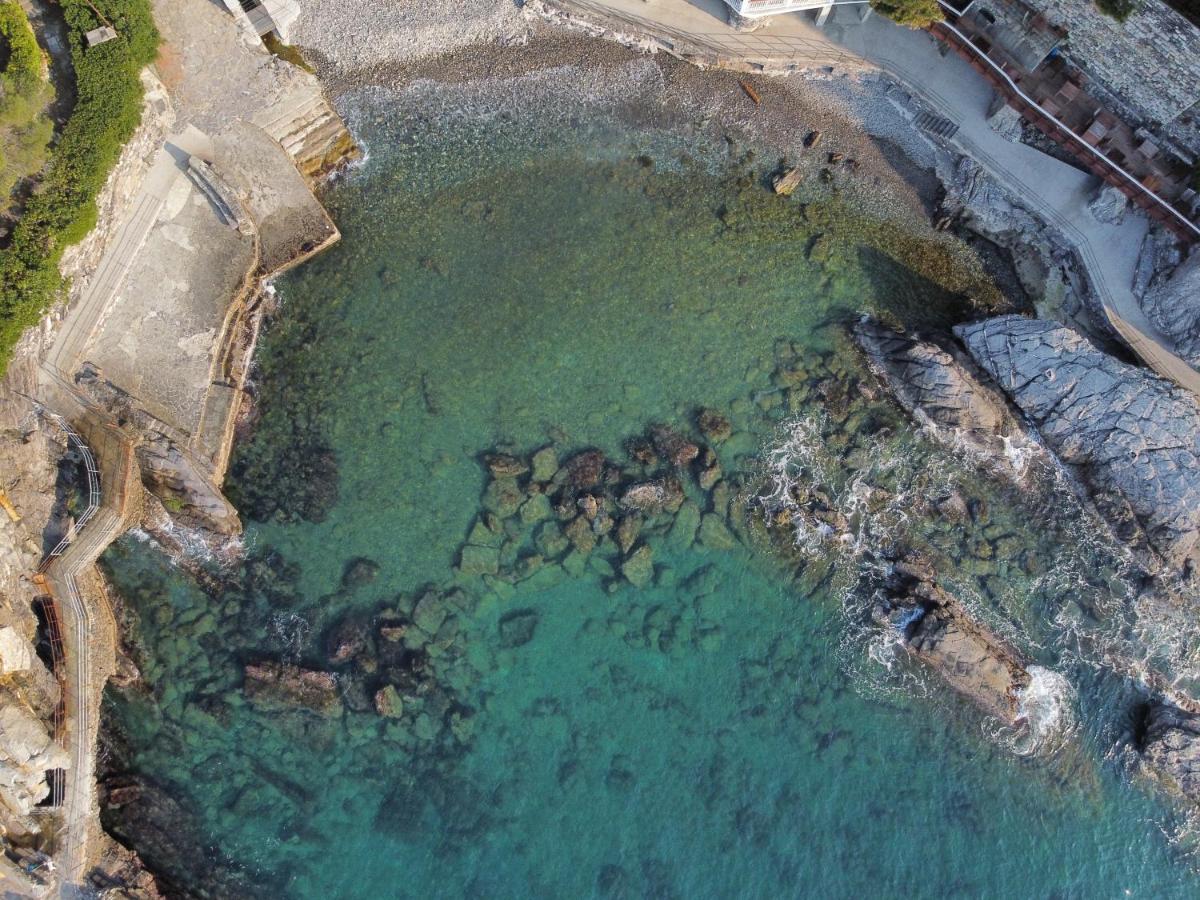 Apartament La Terrazza Sul Mare Zoagli Zewnętrze zdjęcie